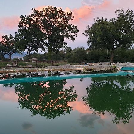 Vila Agriturismo Albero Del Miele San Rufo Exteriér fotografie
