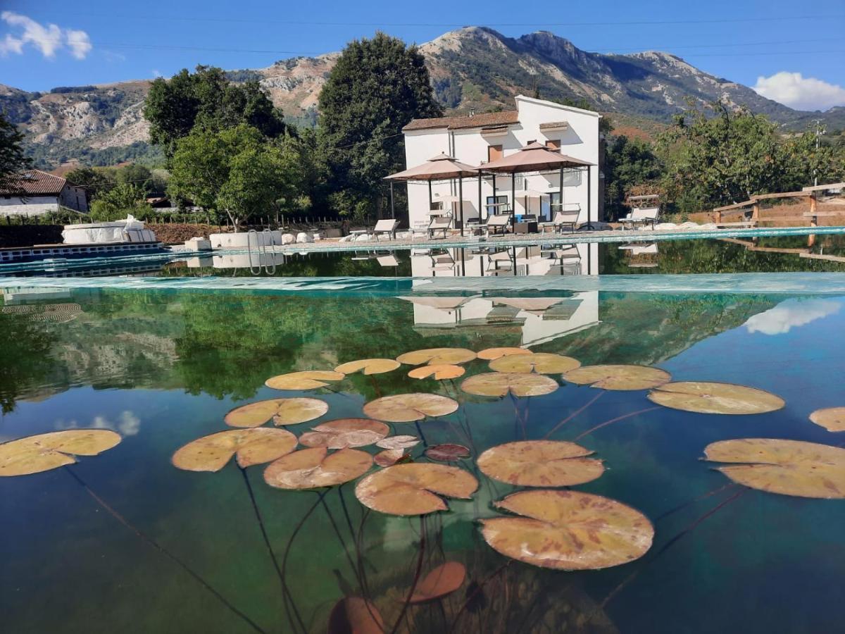 Vila Agriturismo Albero Del Miele San Rufo Exteriér fotografie